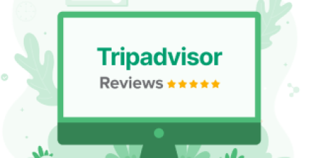 Tripadvisor Reviews