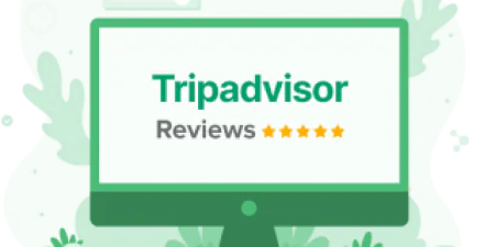 Tripadvisor Reviews